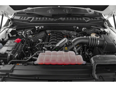 2019 Ford F-150 XLT 302A Package 5.0