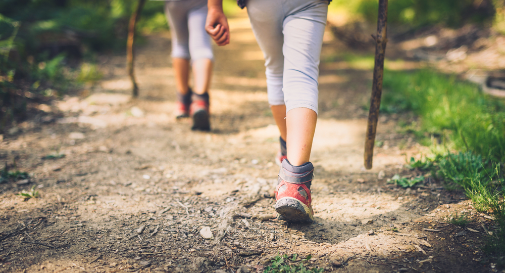 The legs of two people walking away from the camera on a hiking trail with tree branches for walking sticks. - Phil Meador Toyota Pocatello, ID