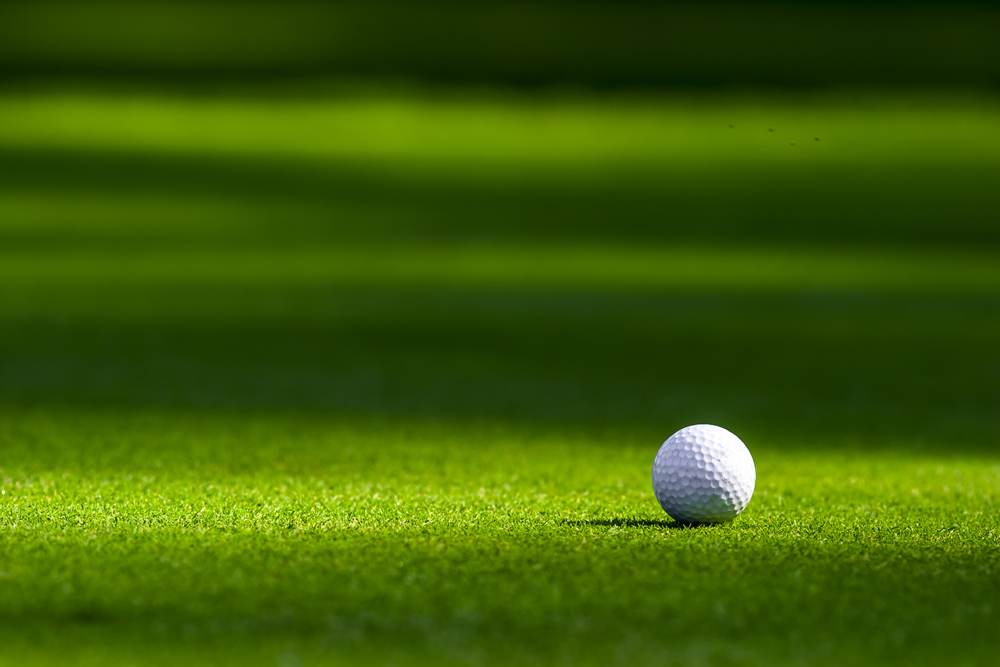 A single golf ball laying on the green of a very well maintained golf course. - Phil Meador Toyota Pocatello, ID