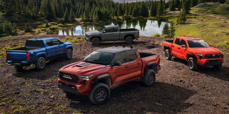 A collection of four all-new Toyota Tacoma pickup trucks parked in a forested pasture beside a pond. - Phil Meador Toyota Pocatello, ID
