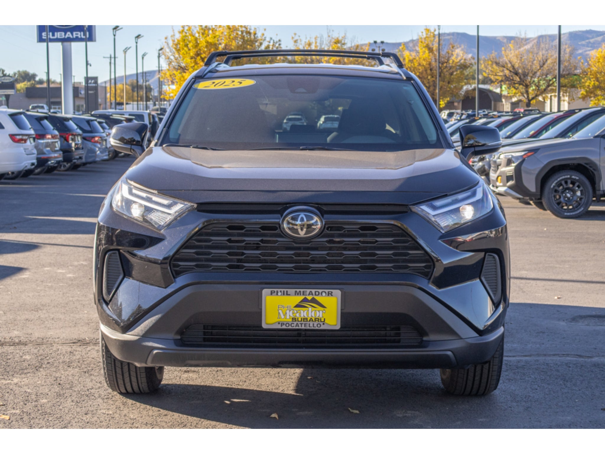 2025 Toyota RAV4 Hybrid Hybrid XLE
