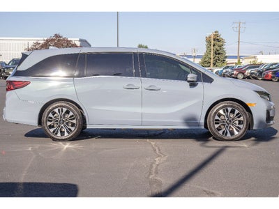 2026 Honda Odyssey Elite