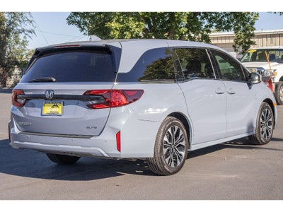 2026 Honda Odyssey Elite