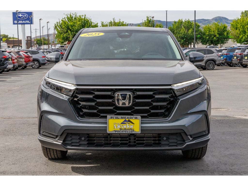 2025 Honda CR-V EX-L