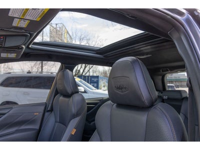 2023 Subaru Forester Wilderness