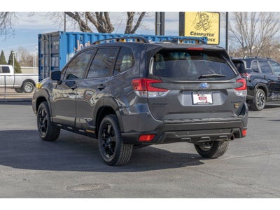 2023 Subaru Forester Wilderness