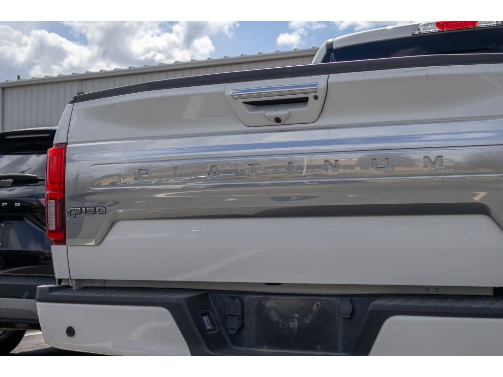 2020 Ford F-150 Platinum