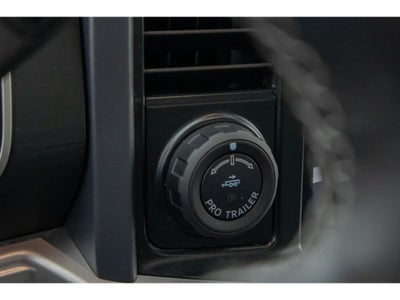 2023 Ford F-150 XLT 302A Package