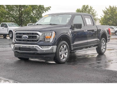 2023 Ford F-150 XLT 302A Package