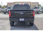 2023 Ford F-150 XLT 5.0 Liter V-8