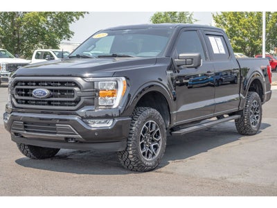 2023 Ford F-150 XLT 5.0 Liter V-8