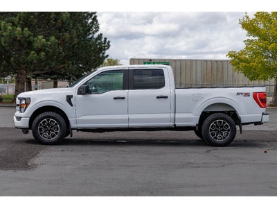 2023 Ford F-150 STX 3.5 Ecoboost