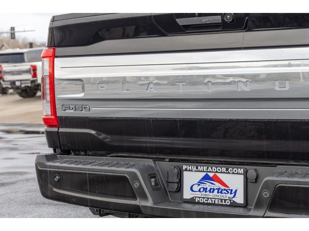 2022 Ford F-150 Platinum