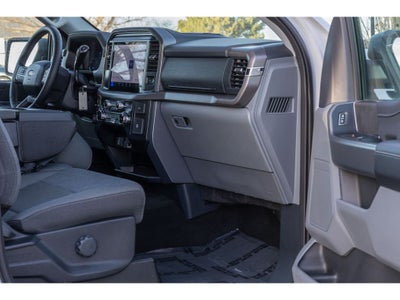 2025 Ford F-150 XLT 5.0 Liter V-8