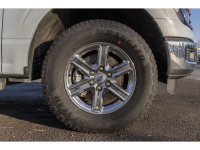 2025 Ford F-150 XLT 5.0 Liter V-8