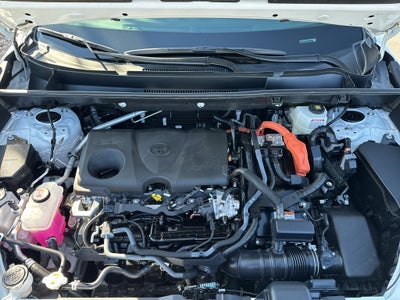 2025 Toyota RAV4 Hybrid Hybrid XLE