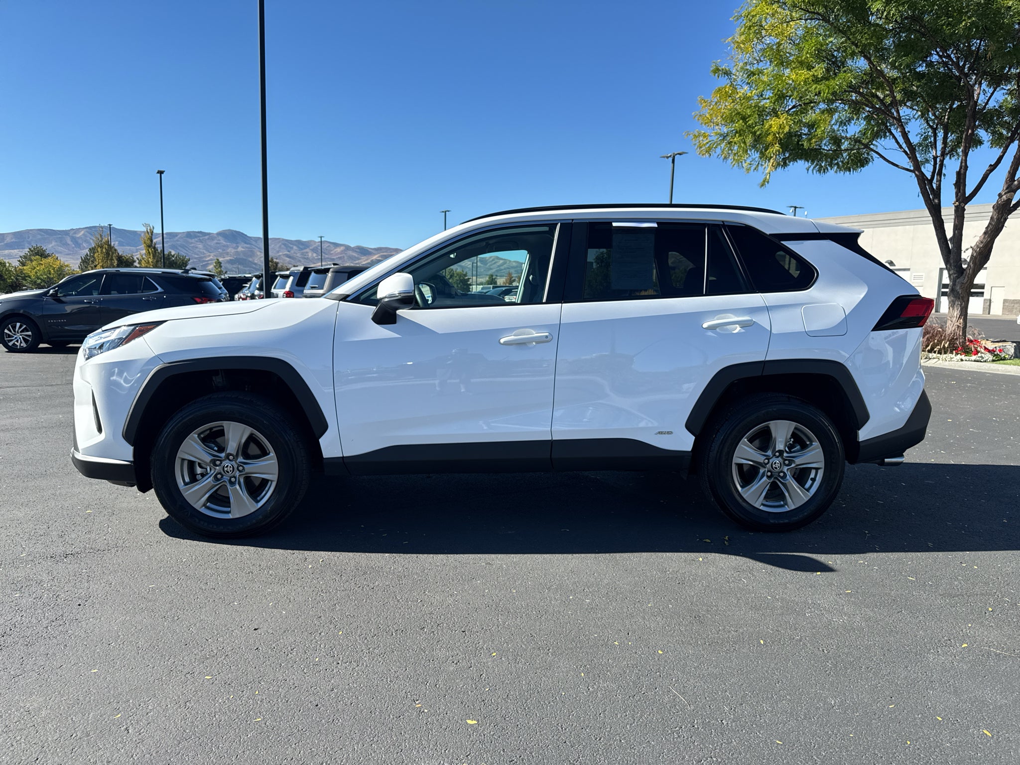 2025 Toyota RAV4 Hybrid Hybrid XLE