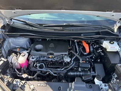 2025 Toyota Sienna Woodland Edition