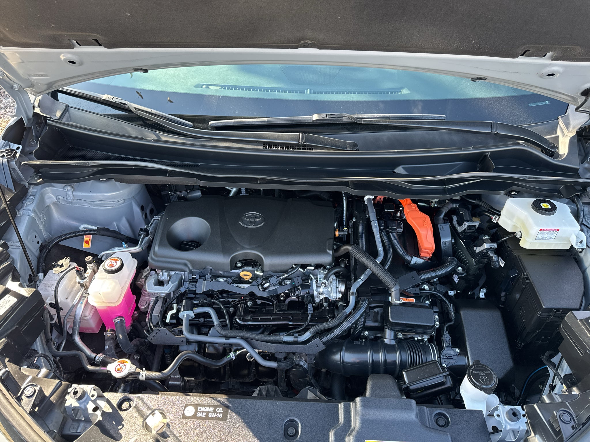 2025 Toyota Sienna Woodland Edition